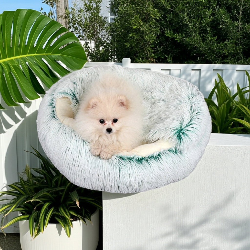 2-in1 Pet Bed